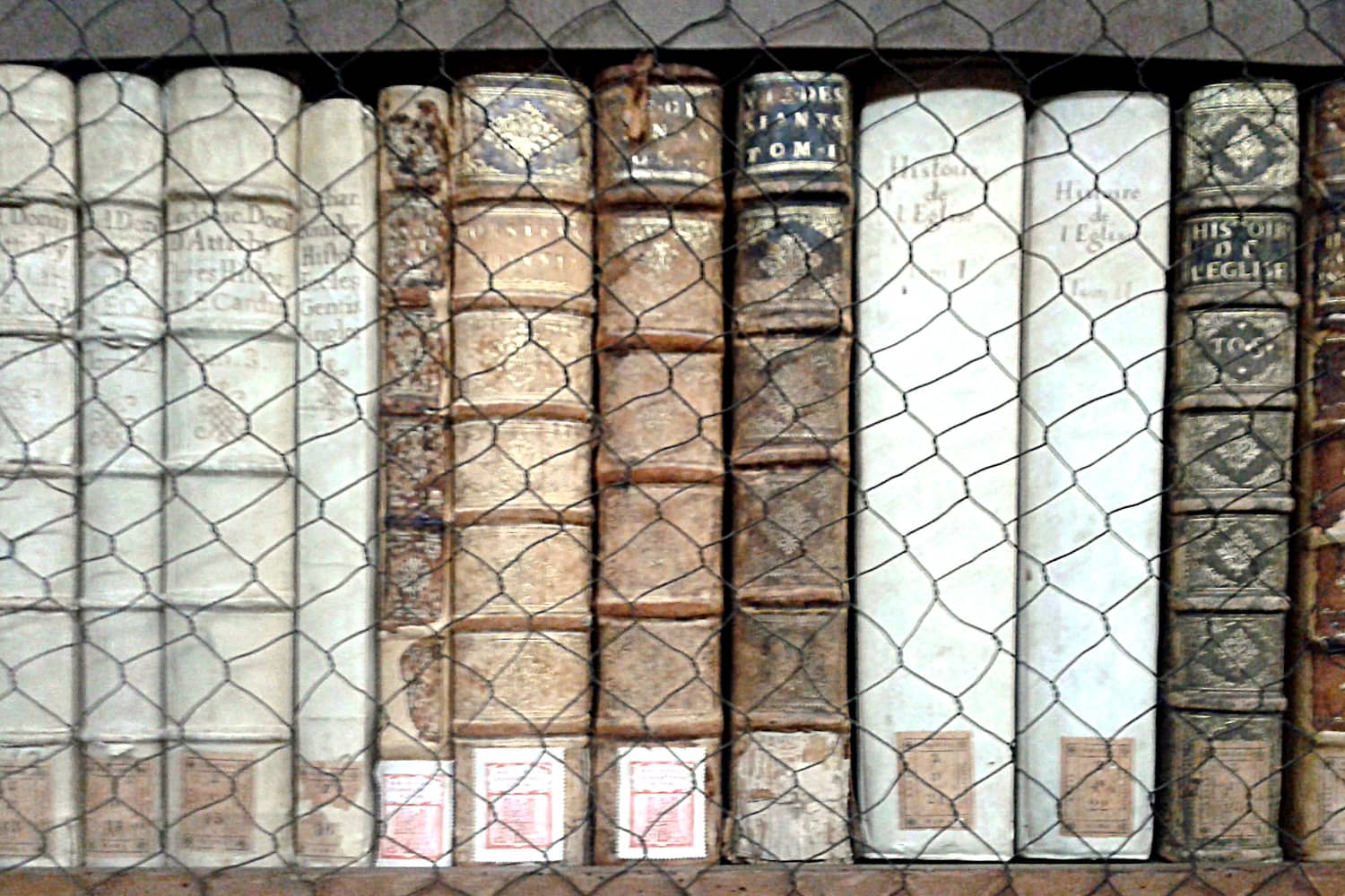 Whose History Counts?